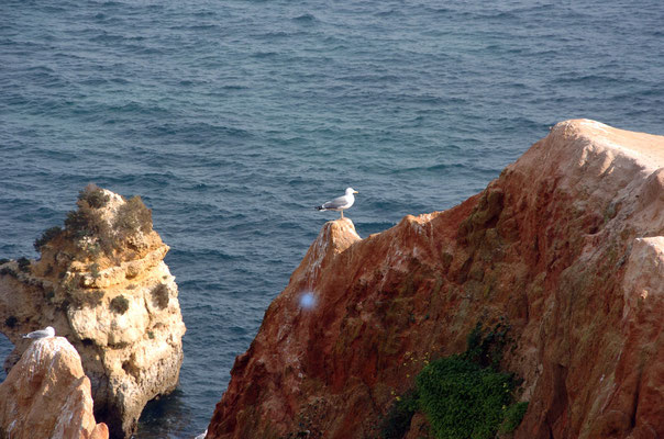 Portugal, Algarve, Lagos