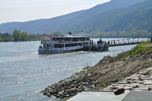 Donauschiff bei Spitz