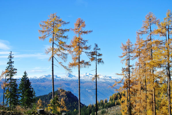 Blick von der Tauplitzalm Alpenstraße
