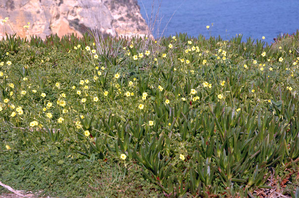 Portugal, Algarve, Lagos