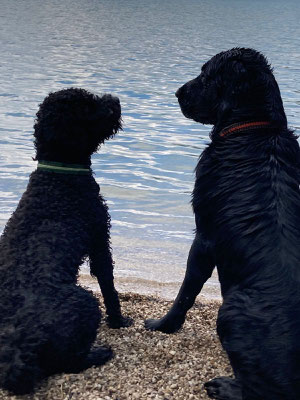 Fly mit seinem Hundefreund Cody beim Wandern, 2023