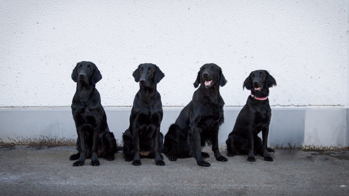 vlnr Emma, Annie, Timmy und Ronja