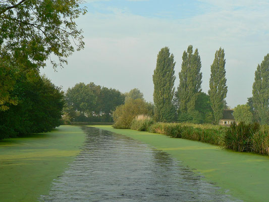 Unterwegs auf der Hollandse Ijssel