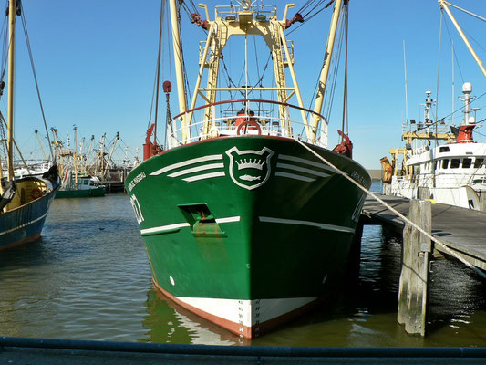 Harlingen, Fischerei Hafen