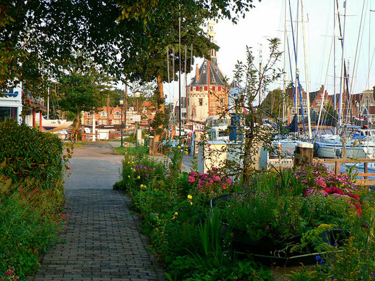 Viel Grün und schöne Blumen im WSV Hoorn