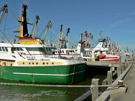 Harlingen, Fischerei Hafen