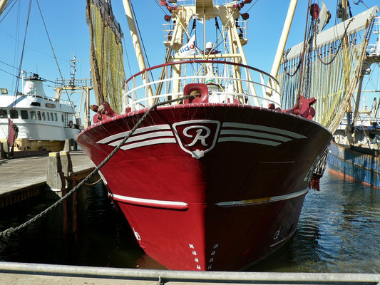 Harlingen, Fischerei Hafen