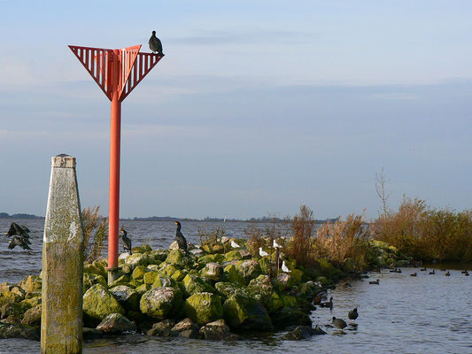 Passantenhaven Heegerwal