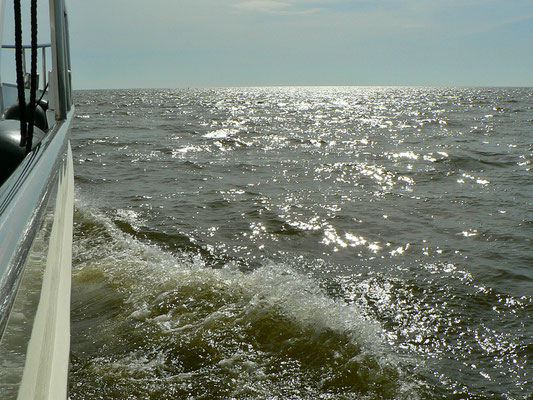 Auf dem Ijsselmeer.