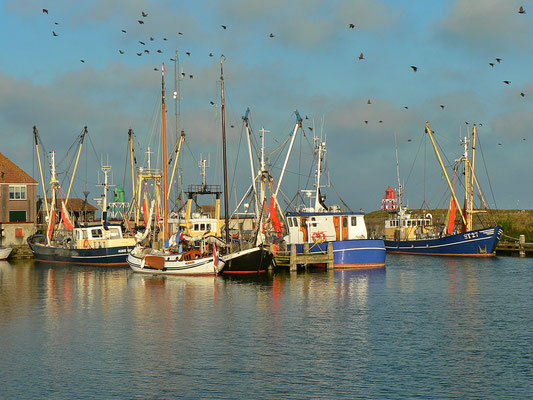 Stavoren, am Oude Haven.