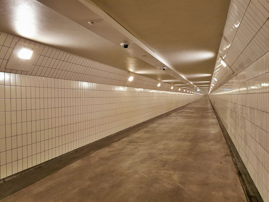 Im Maastunel.