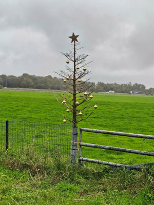 Ist den schon Weihnachten? 