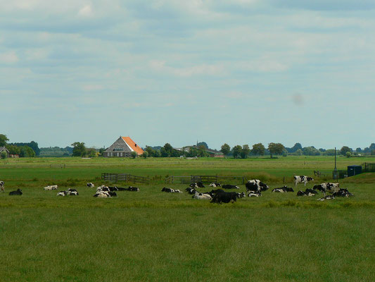 Unterwegs Richtung Heeg