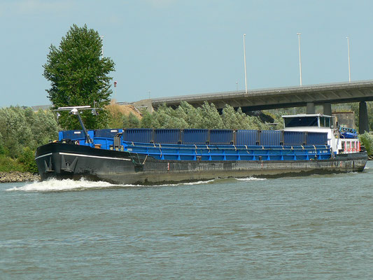 Auf dem Lek.