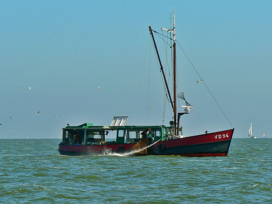 Auf dem Markermeer