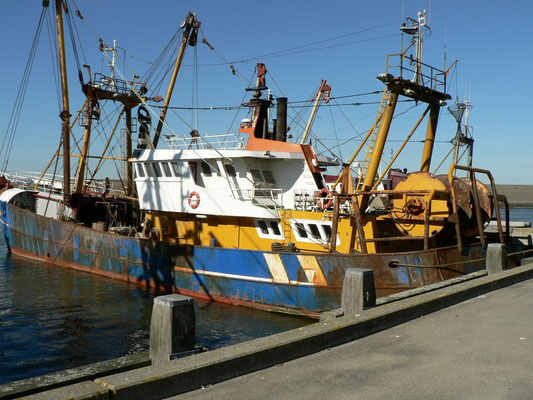 Harlingen, Fischerei Hafen