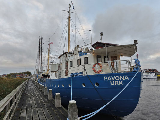 Morgens so um 8:15 Uhr auf Urk