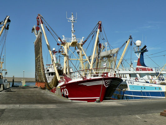 Harlingen, Fischerei Hafen