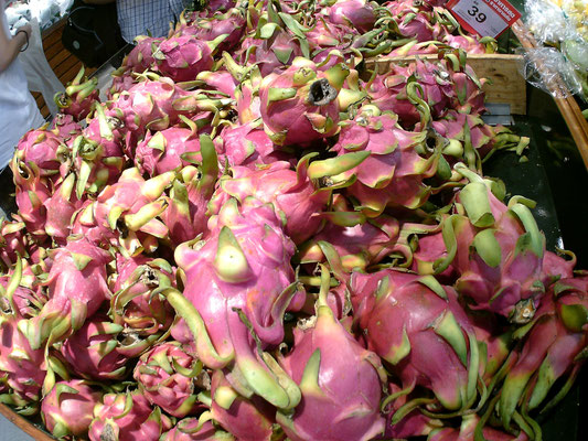 Dragon fruit