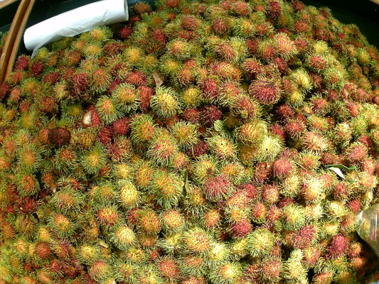 Looking bit like lychee