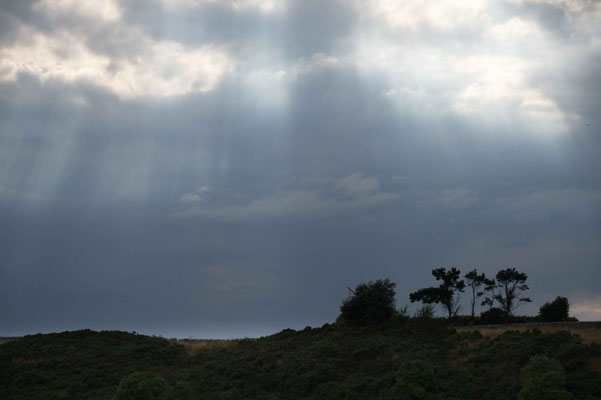 Martin Dillge_03_Licht