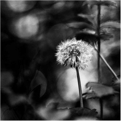 Ute Marke_02