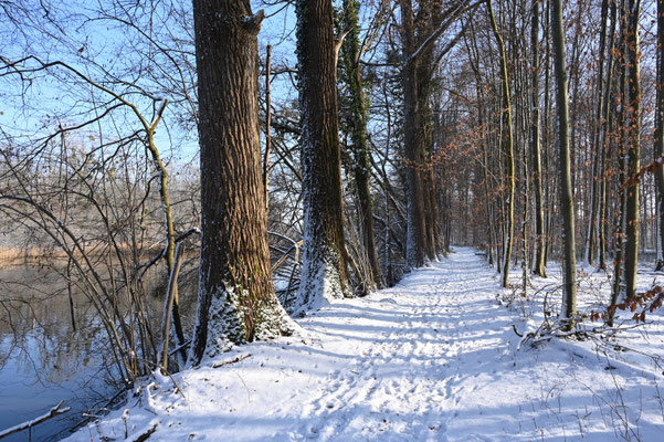 Treidlerweg_Hermann Werle 17