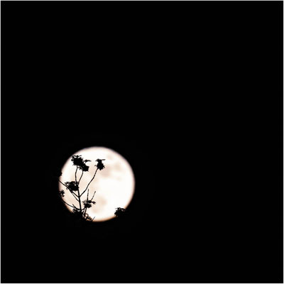 Ute Marke_04_Der Mond ist aufgegangen