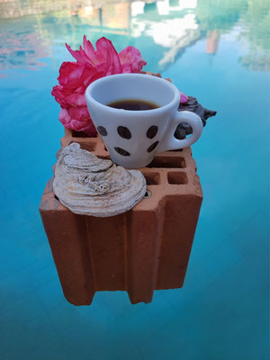 Gertrud Schneiderheinze_04_ Espresso auf schwebendem Stein