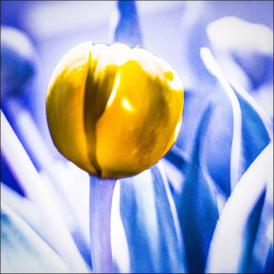 Ute Marke_Frühling mal anders