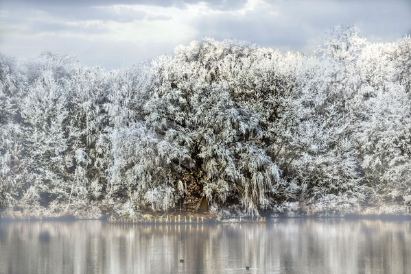 Jochen Storch_Herbstspaziergang