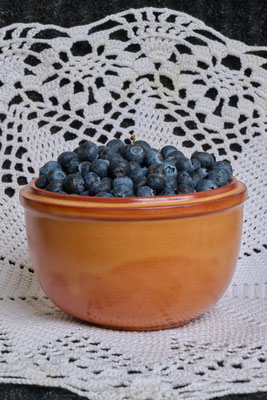 Gerdrud Schneiderheinze_01_Blaubeeren frisch gepflückt