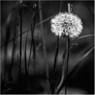 Ute Marke_04