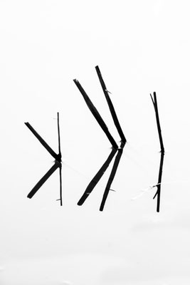 Ute Marke_04