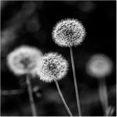 Ute Marke_03
