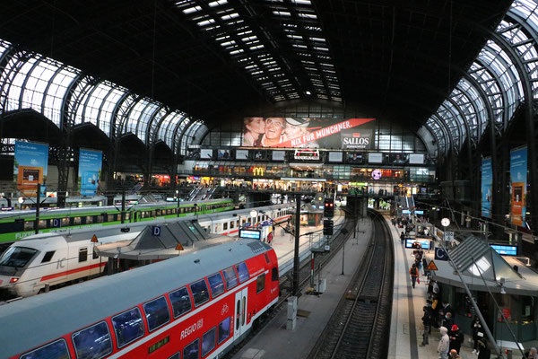 Wolfgang Baricham_Am Gleis Hamburg Hauptbahnhof