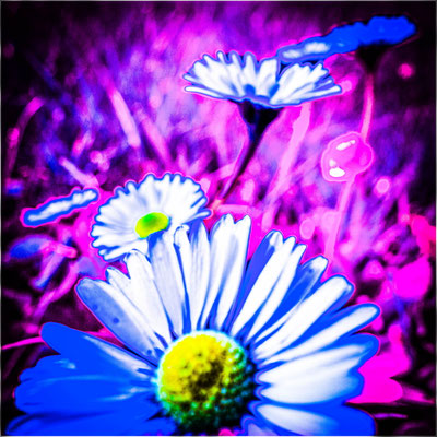 Ute Marke_Frühling mal anders