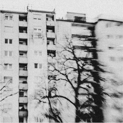 Ute Marke_02_Fehlentwicklung