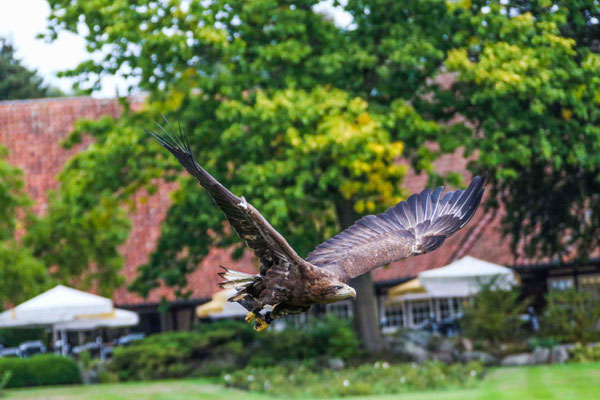 Otmar Pahler_Weltvogelpark Walsrode