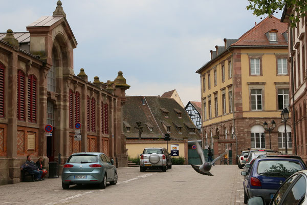 Otmar Pahler_05_Colmar L Álsace