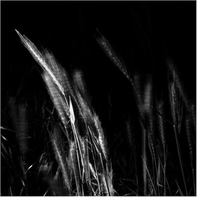 Ute Marke_01