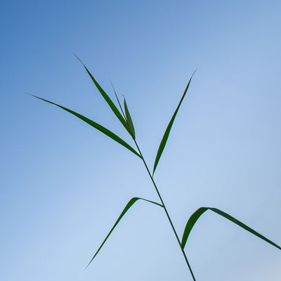 Ina Kegel_04_Minimalismus