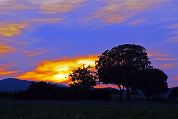 Fritz Montillon_Sonnenuntergang