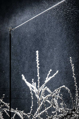 Ute Marke_02