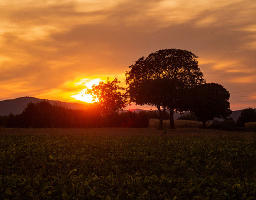 Bernhard Welsch_Sonnenuntergang
