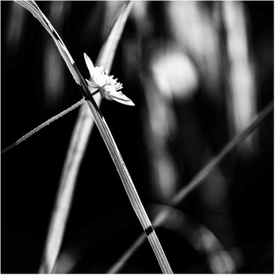 Ute Marke_08
