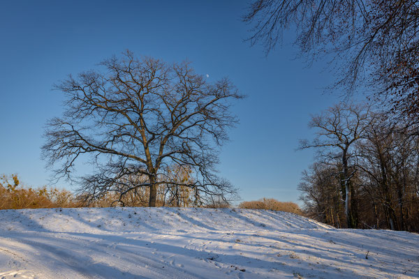 Treidlerweg_Helmut Braun 14