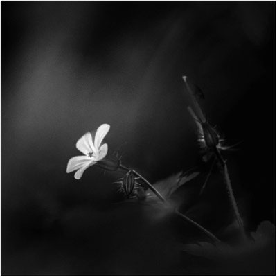 Ute Marke_06