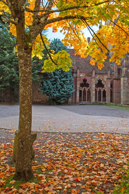 Ina Kegel_Herbst in Weißenburg