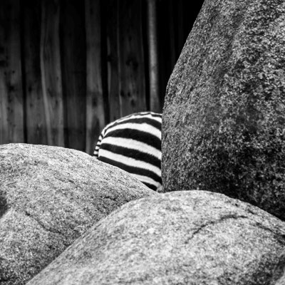 Ute Marke_05